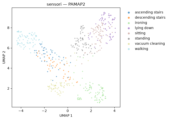 UMAP of PAMAP2 minute embeddings, coloured by eight activities including walking, sitting and stair use.