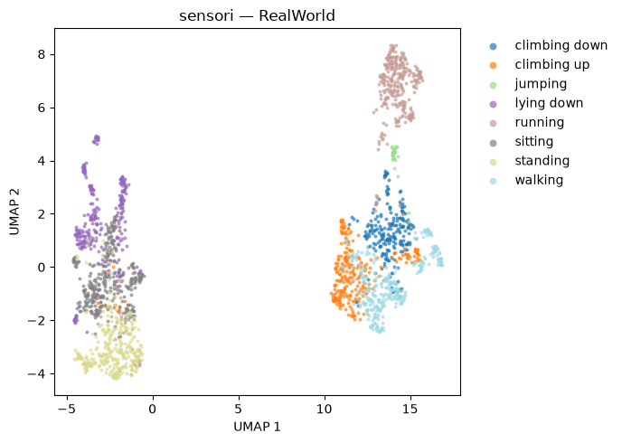 UMAP of RealWorld minute embeddings, coloured by activities including walking, running, sitting and climbing stairs.