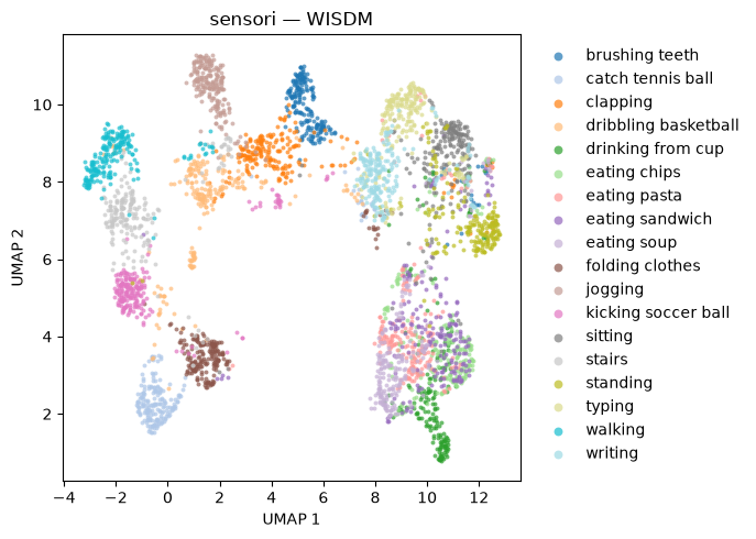 UMAP of WISDM minute embeddings, coloured by eighteen everyday and sporting activities.